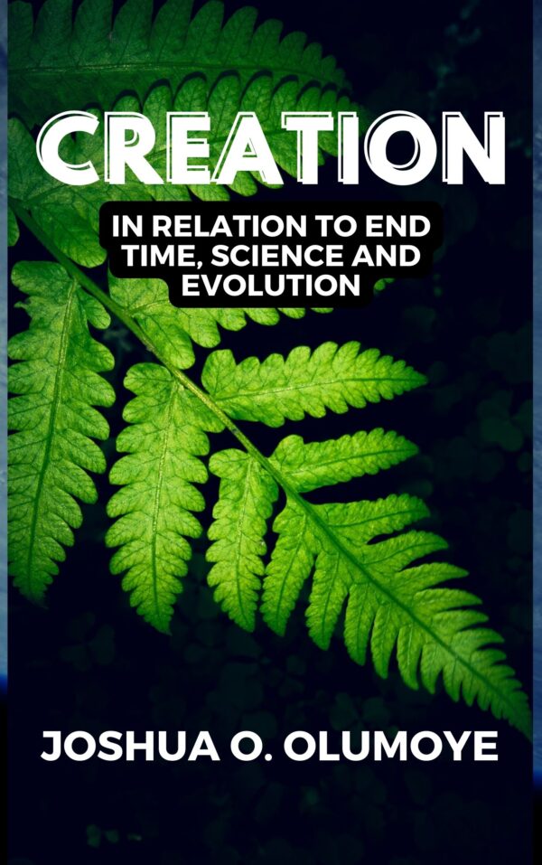 Bride Wedding Romance Kindle Book Cover (33) Creation(In Relation to End Time, Science & Evolution)